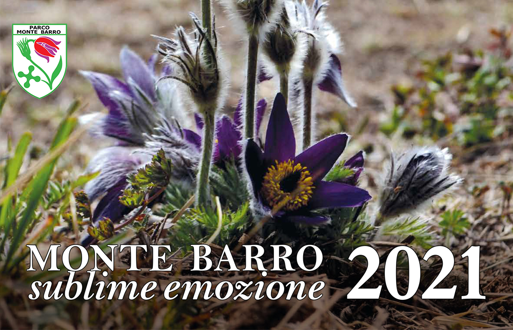 SUBLIME EMOZIONE - Il calendario 2021 del Parco Monte Barro